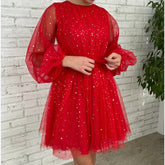 Star & Dobby Mesh Fit And Flare Dress