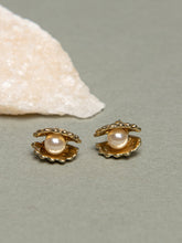 Faux Shell Pearl Drop Earrings Sai Feel
