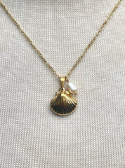 Shell Necklace