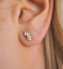 Clous d'oreilles Riley en or