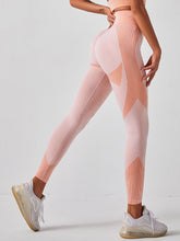 Seamless Wideband Waist Sports Leggings Sai Feel