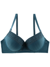 Unlined Push Up Bra with Frame Deep V Brassiere Women Underwear Lace Lingerie D Cup Bra Sai Feel