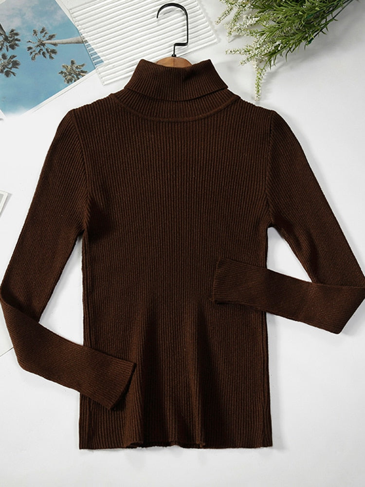 Simple Ribbed Turtleneck