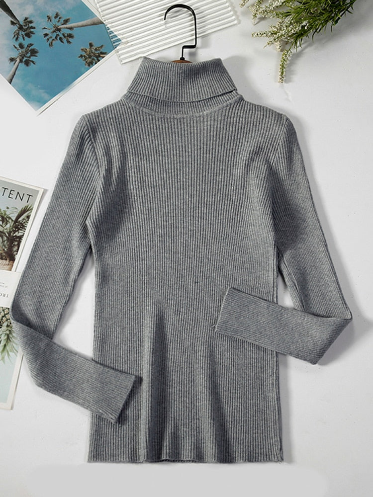 Simple Ribbed Turtleneck