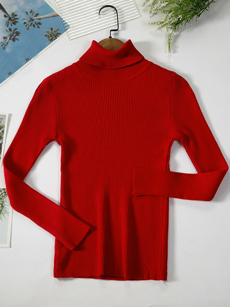 Simple Ribbed Turtleneck