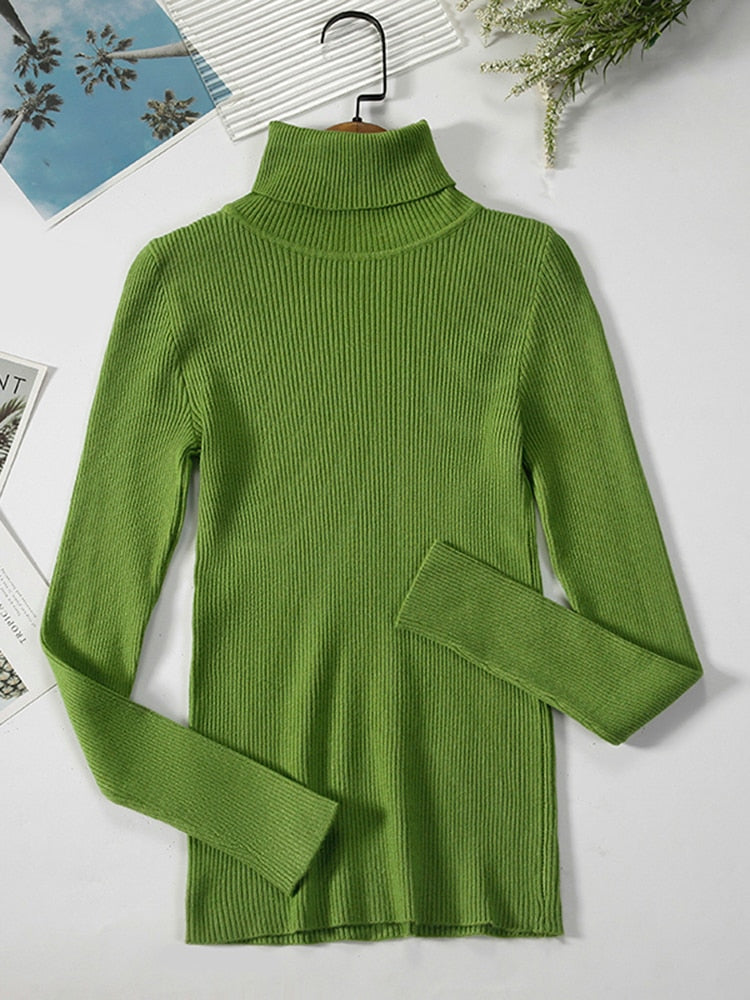 Simple Ribbed Turtleneck