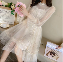 Long Sleeve Fairy Sparkle Mesh Dress