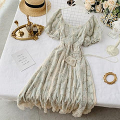 Lace Overlay Vintage Style Dress