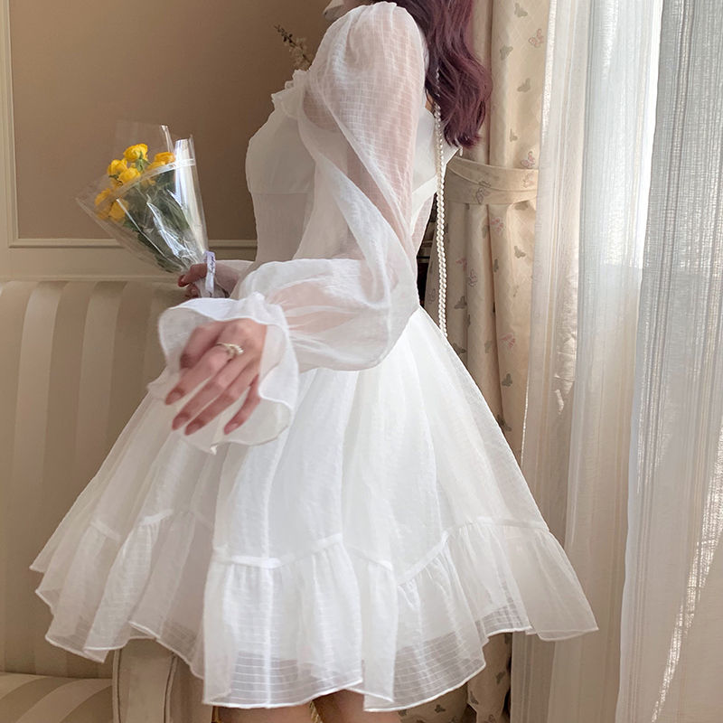 Delicate Fairy Puff Sleeve Dress