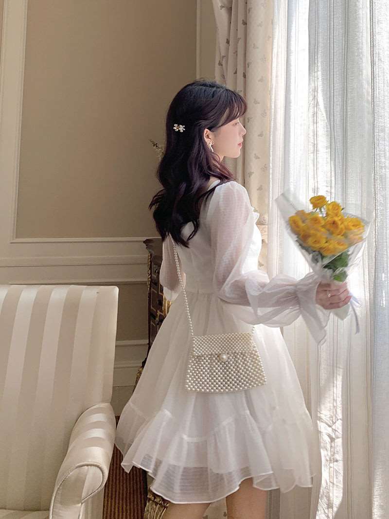 Delicate Fairy Puff Sleeve Dress