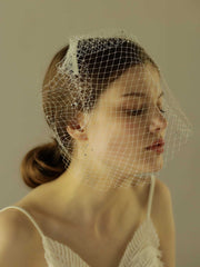 Birdcage Rhinestone mesh wedding Veil Hair Clip Sai Feel