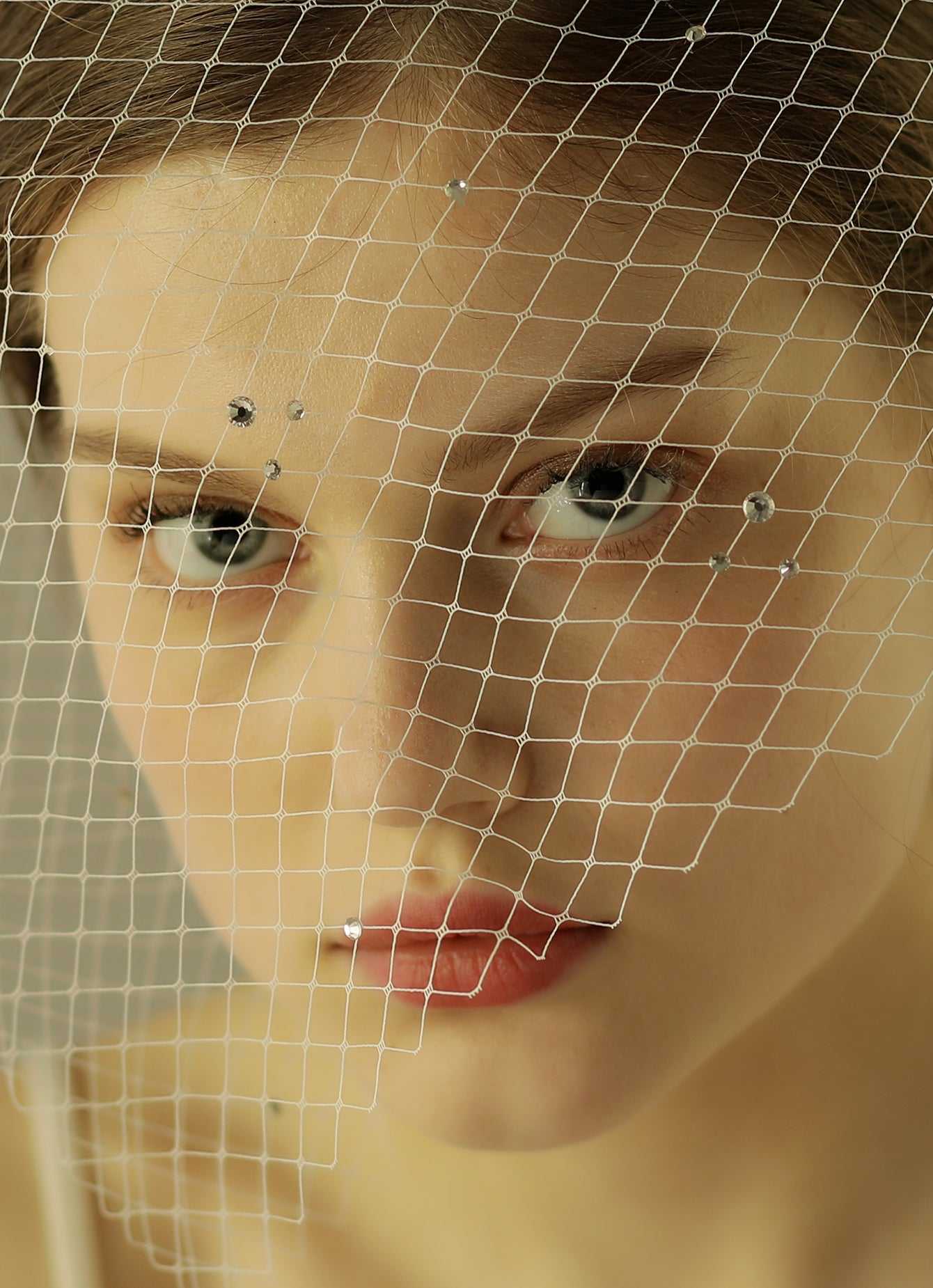 Birdcage Rhinestone mesh wedding Veil Hair Clip Sai Feel