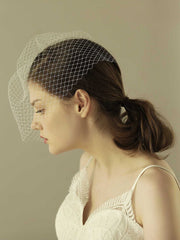 Birdcage mesh wedding Veil Hair Clip Sai Feel
