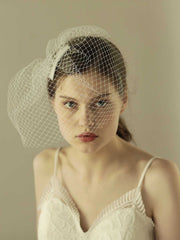 Birdcage mesh wedding Veil Hair Clip Sai Feel
