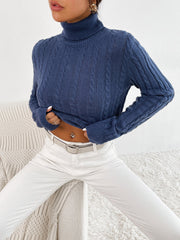 Navy turtleneck sweater Sai Feel