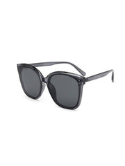 PC frame sunglasses Sai Feel