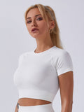 Seamless Crop Sports Tee Sai Feel