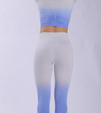 Women Hanging Dye Long Sleeve Yoga Clothing Seamless Fitness High Waist Hip Lifting Pants  Yoga Suits Sai Feel