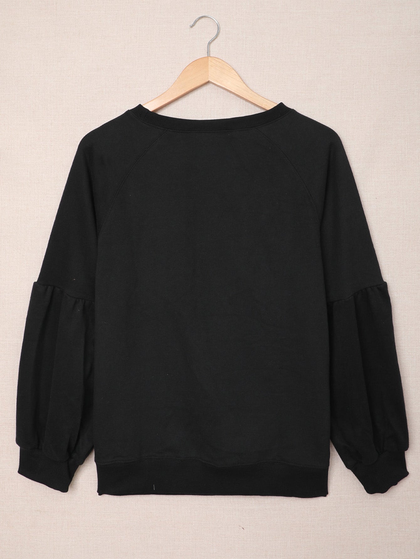 Women 's Casual Fashion Solid Color Shirt Crew Neck Long Sleeve Top Sai Feel