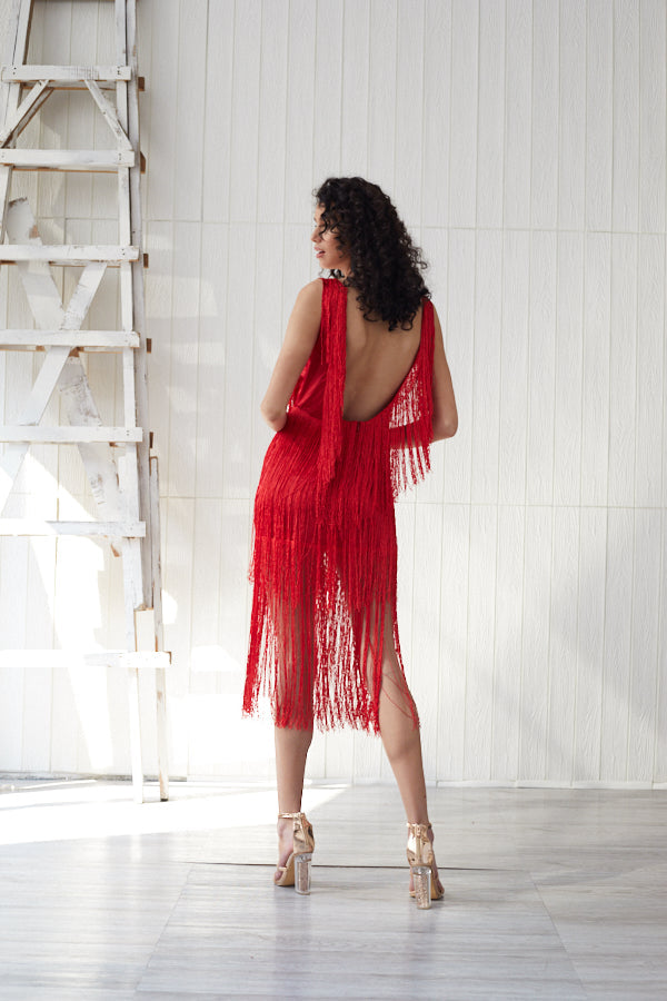 Women's Mini Dress Sexy Backless Sleeveless Fringe Dress Evening Party Slim Dress 2XL / Red Women's Mini Dress Sexy Backless Sleeveless Fringe Dress Evening Party Slim Dress 2XL / Red