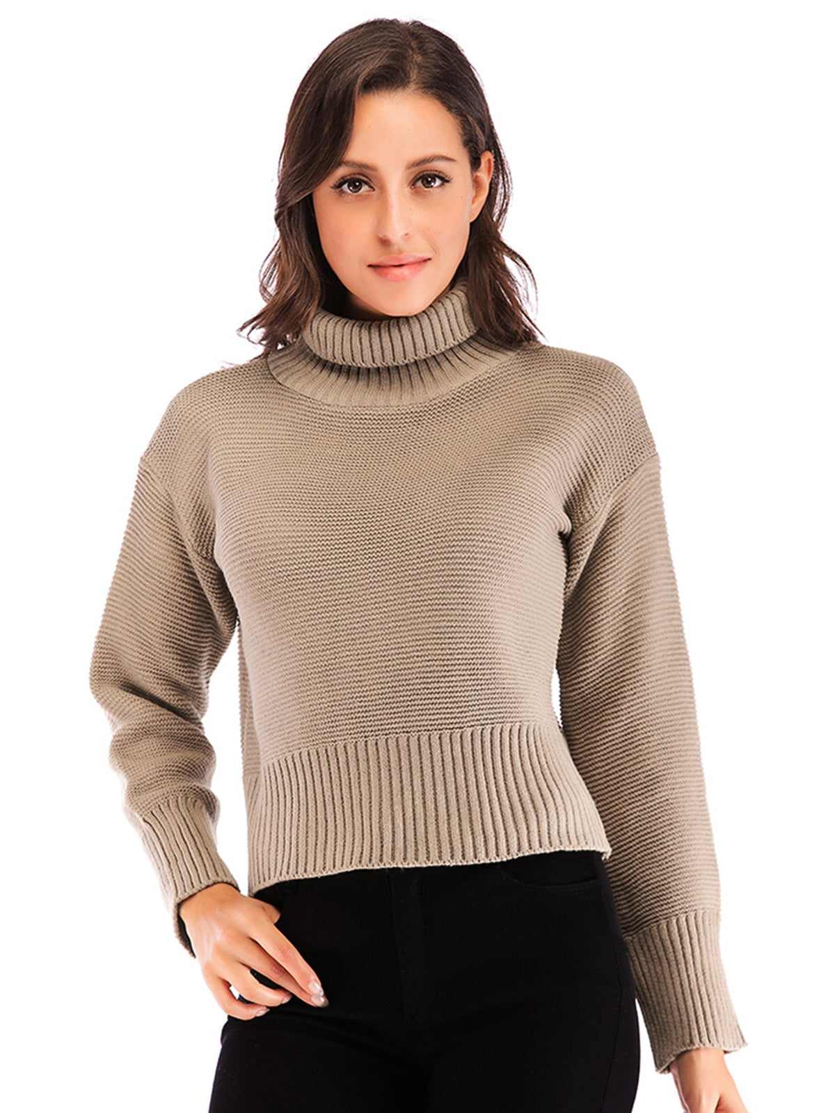 Women's casual long sleeve knit turtleneck sweater Sai Feel