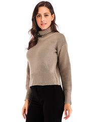 Women's casual long sleeve knit turtleneck sweater Sai Feel